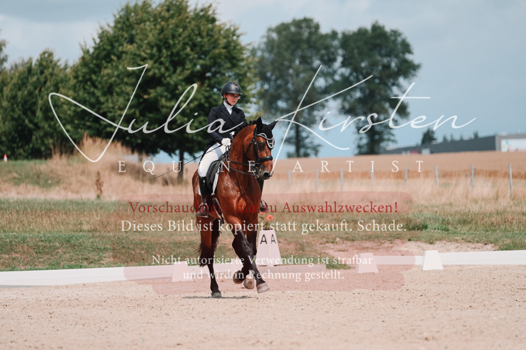 DSC_4389 | Pferde- und Turnierfotografie in Westsachsen. Pferdeportraits, Auftragszeichnungen und intuitive Kunst.