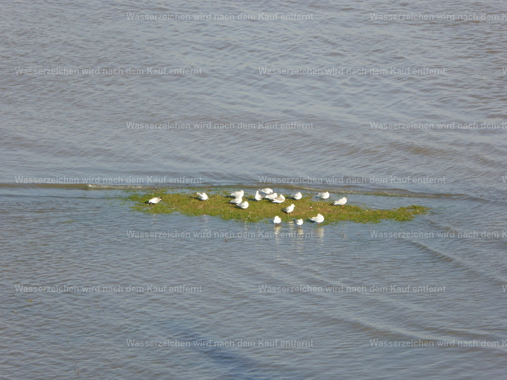 P1000758 | Entdecken Sie die faszinierende Welt von Norbert Michels: Surreale Kunstwerke, hochwertige Fotos, Leinwandbilder & Fotoprodukte wie Tassen mit bild7 - Realisiert mit Pictrs.com