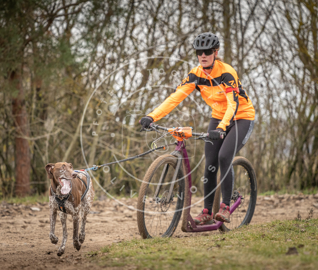 Pfotenfotografie_DV3A9846 | Hundefotografie, Tierfotograf, Pfotenfotografie, Fotoshooting Hund, Hunde Portrait, Hundesport, Hundeportraits, Heideshooting, Hunde, Sportfotograf, Hundefotograf, Turnierhundsport, THS,  - Realisiert mit Pictrs.com