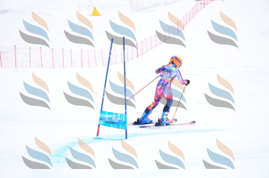 DSC_6475 | holidayphoto