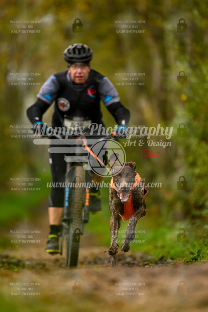 MompixPhotography_20TSB_E6_Bike-79 | PayLife