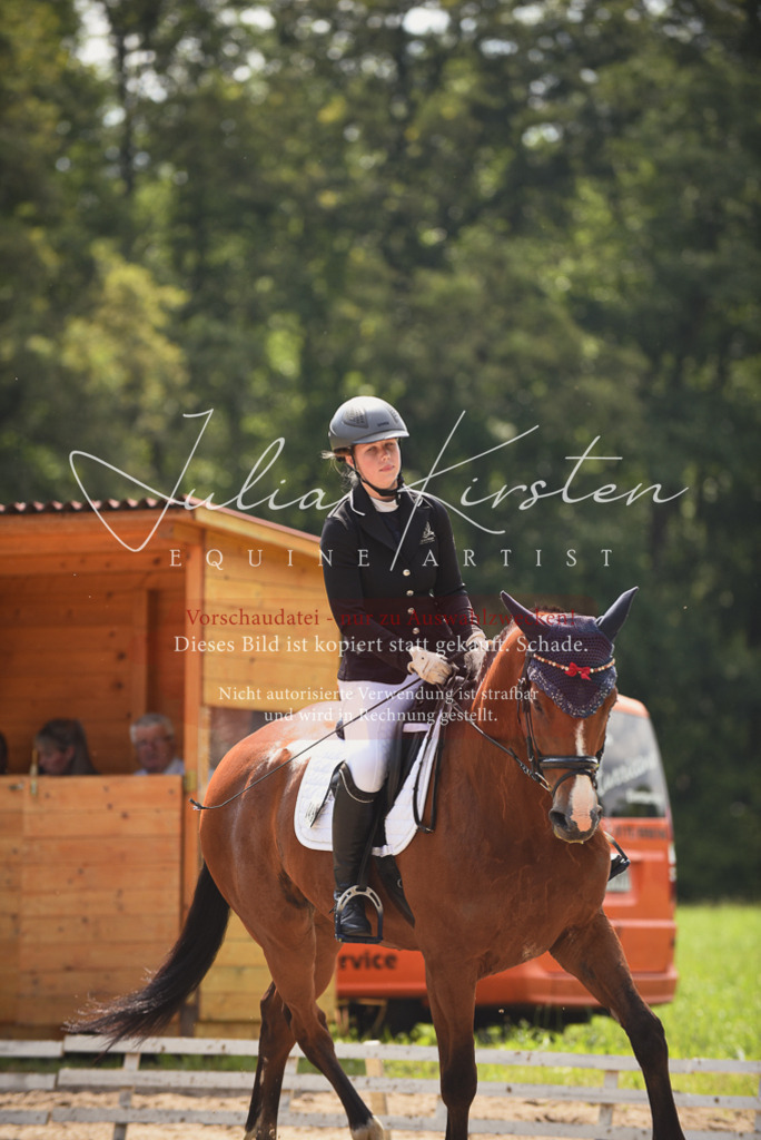 DSC_0750 | Pferde- und Turnierfotografie in Westsachsen. Pferdeportraits, Auftragszeichnungen und intuitive Kunst.