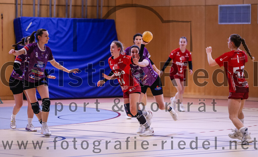 2025-02-22_033_SpVgg_Altenerding_gegen_TG_Landshut | Erding, Deutschland, 22.02.2025:Handball, Bezirksoberliga Frauen Altbayern 2024 / 2024, 15. Spieltag, SpVgg Altenerding gegen TG Landshut, Endergebnis: 25:22Julia Kranich (SpVgg Altenerding, #9), Isabella Gschossmann (TG Landshut, #14), Janina Konrad (SpVgg Altenerding, #2), Nadine Schlegel (TG Landshut, #57)Foto: Christian Riedel / fotografie-riedel.net