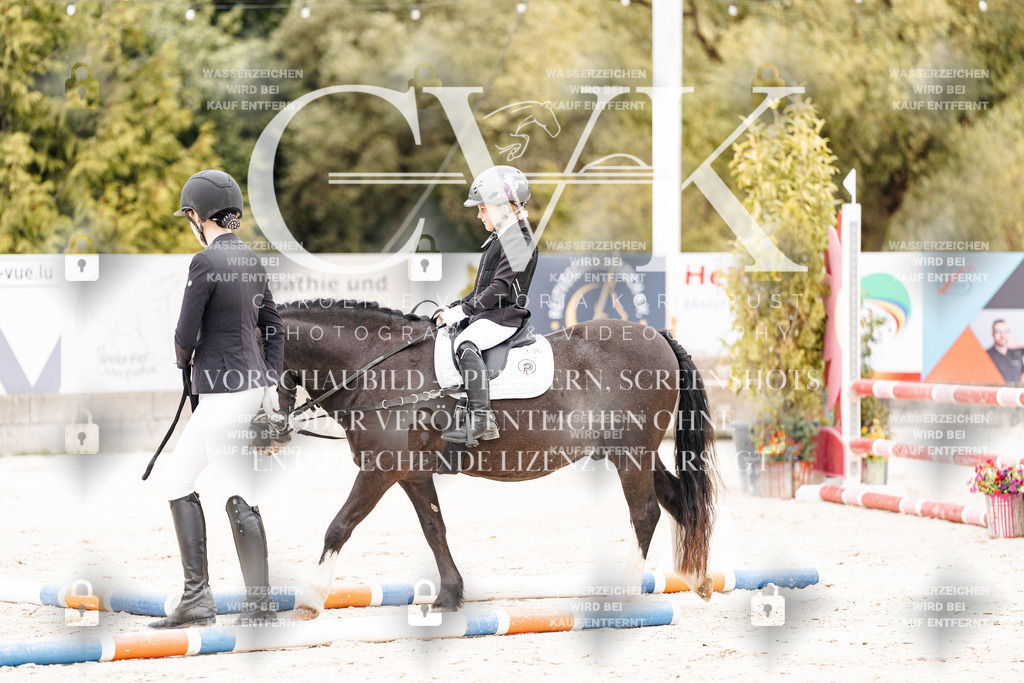 CK907382 | Turnierfotografie Pferdefotografie Trier Rheinland-Pfalz Pferdesport Reitsport Tierfotografie Sportfotografie Pferdevideo Pferdevideografie Equestrianvideography equestrianphotography  - Realisiert mit Pictrs.com
