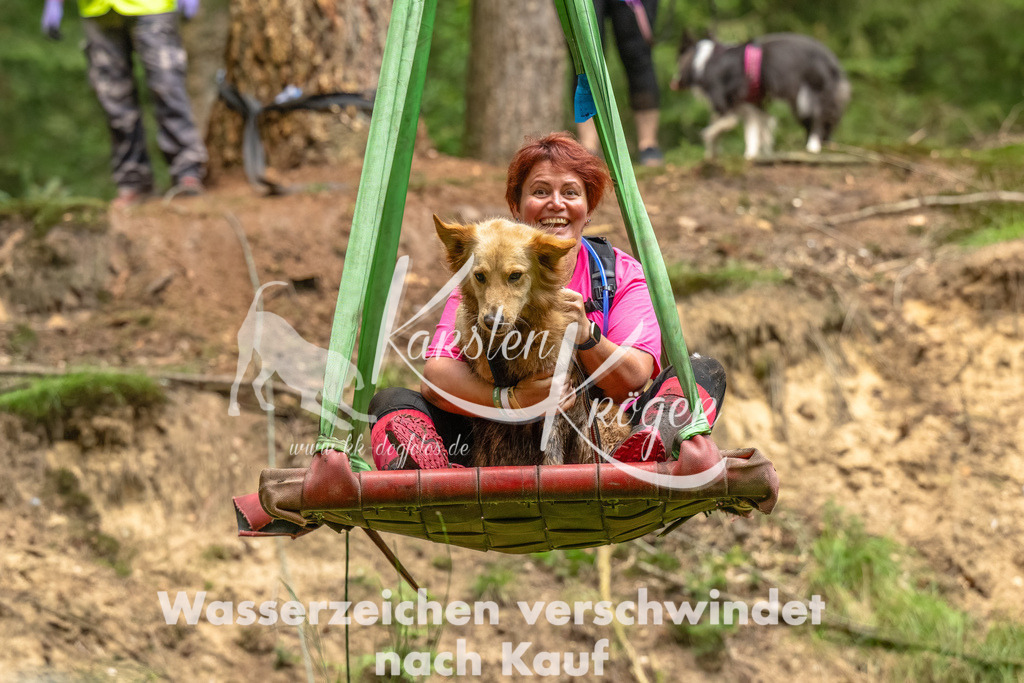 1336_ZZ93418-Bearbeitet | kk-dogfotos