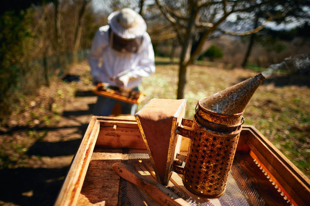 Smoker zur Beruhigung der Bienen im Einsatz | Bisamberg, Austria - March 30, 2021; Bio-Imkerei Biene Joe; Smoker zur Beruhigung der Bienen im Einsatz, im Hintergrund ein Imker. - Realisiert mit Pictrs.com