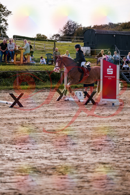2026_10_03_Siefer-Hof_144453_Z81_19223999 | Professionelle Reitsport-, Turnier- und Eventfotografie von Robert Broda. Galerien mit ausgewählten und bearbeiteten Bildern direkt online ansehen und bestellen.