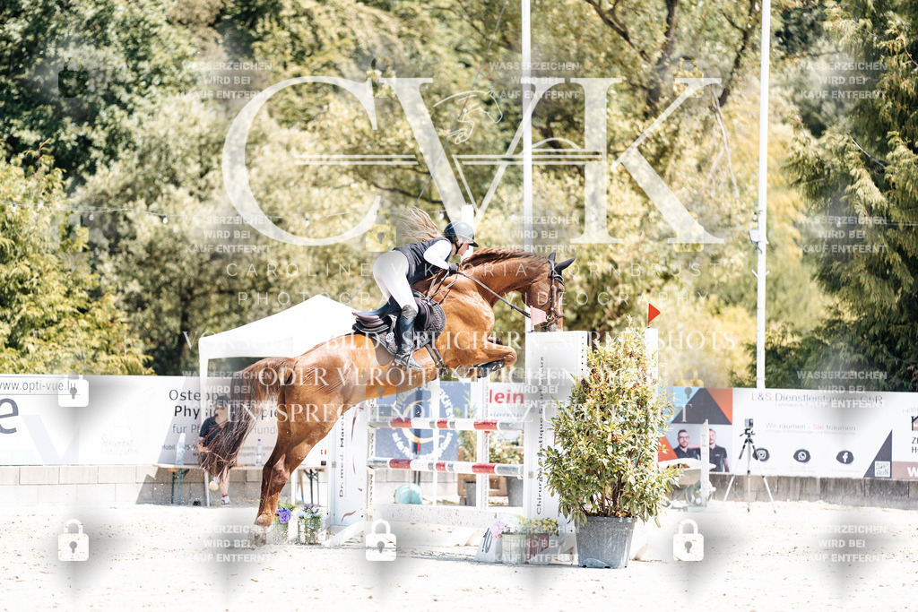 CK900446 | Turnierfotografie Pferdefotografie Trier Rheinland-Pfalz Pferdesport Reitsport Tierfotografie Sportfotografie Pferdevideo Pferdevideografie Equestrianvideography equestrianphotography  - Realisiert mit Pictrs.com
