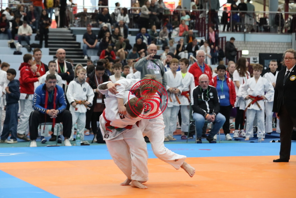 1J7A2772 | Fotos vom Adler Cup - Pictures from Adler Cup

Hier findet Ihr alle Eindrücke und großen Momente der Adler Cup Wochenenden. Here you will find all impressions and great moments of the Adler Cup weekends. - Realisiert mit Pictrs.com