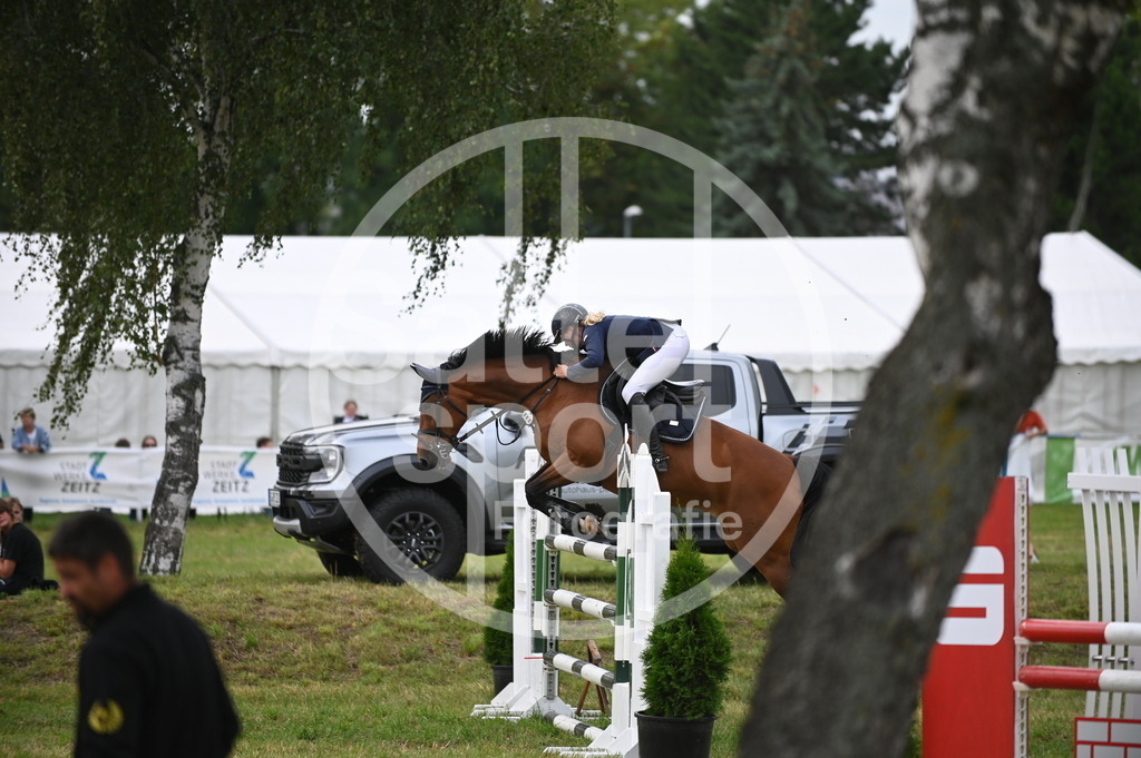 DSC_3777 | sattelsport - Realisiert mit Pictrs.com