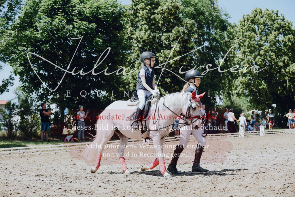 DSC_2487 | Pferde- und Turnierfotografie in Westsachsen. Pferdeportraits, Auftragszeichnungen und intuitive Kunst.