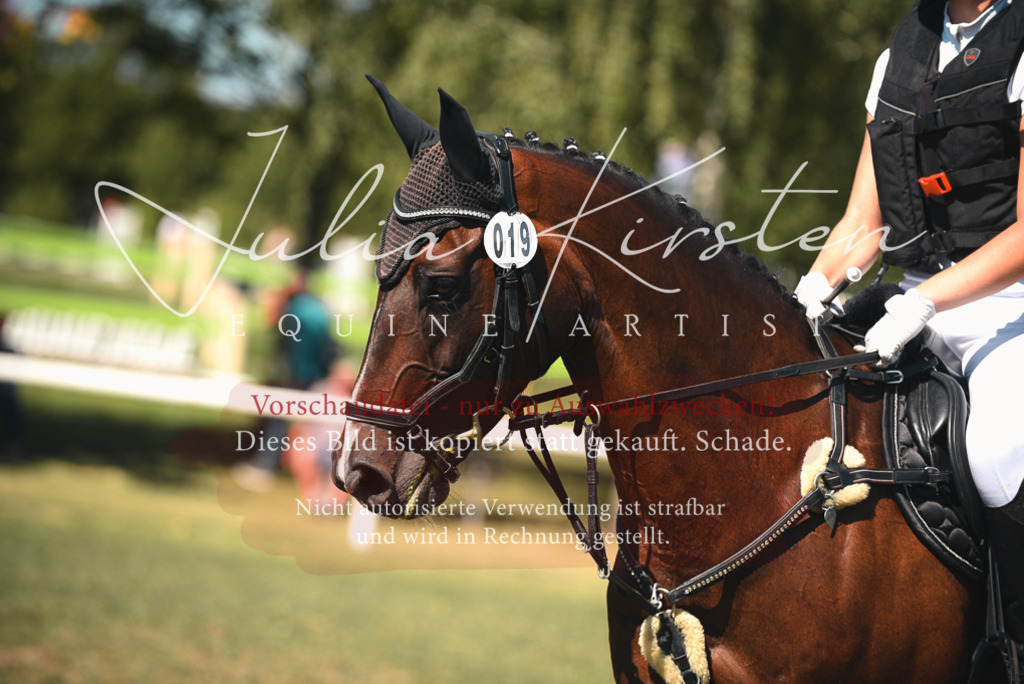 DSC_7192 | Pferde- und Turnierfotografie in Westsachsen. Pferdeportraits, Auftragszeichnungen und intuitive Kunst.