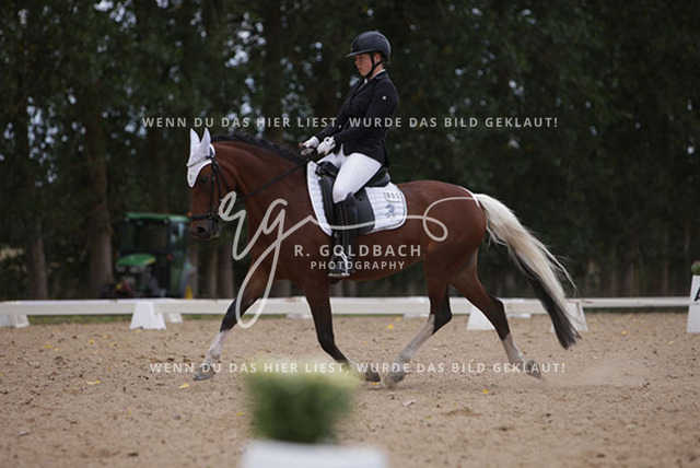 1J2A0876Charlotte Fehr_ Ikon 16_ Kn061_ Wöpkendorf_ Annalena Beier_ Quinn M_ Kn095 | Foto- und Videografie für alles rund ums Pferd. Hochwertige Bilder und Videos vom Spring- und Dressurreiten, Voltigieren & mehr. Jetzt aktuelle Veranstaltungen und Preise im Shop ansehen. - Realisiert mit Pictrs.com