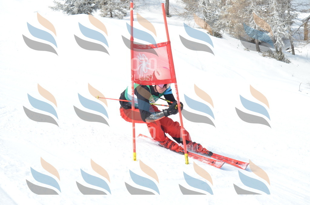 D9223 | holidayphoto