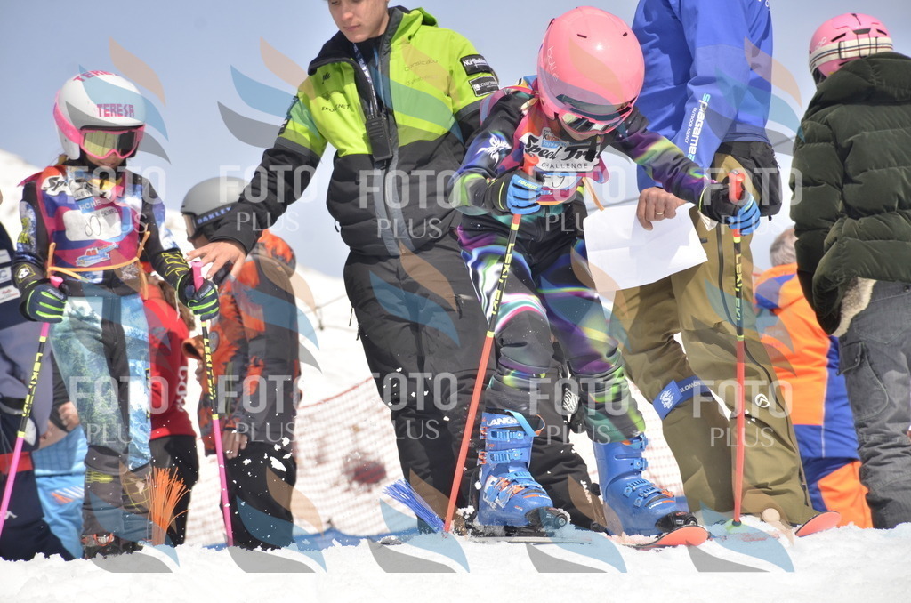 _ELE9196 | holidayphoto