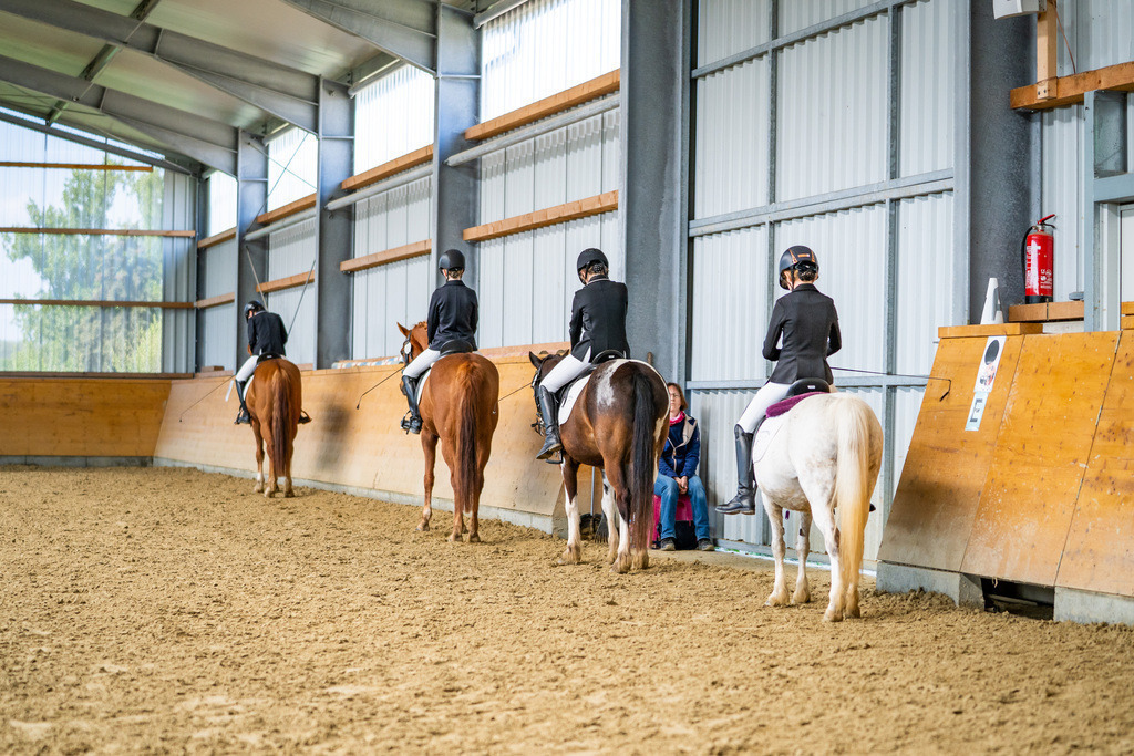 DSC03288 | Pferdegrafie