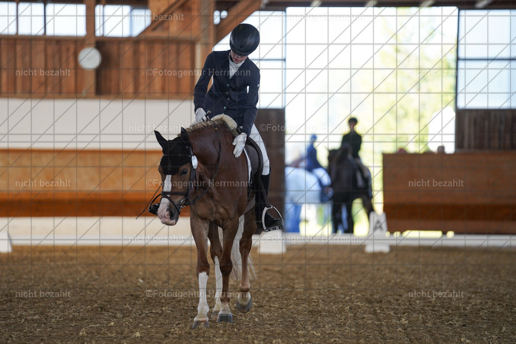 20240824-FAH06956 | Thierhaupten 2024, Bayerisches Landesponyturnier, Turnierbilder, Ponybilder, Turnierfotografen Bayern, Fotoagentur Herrmann
