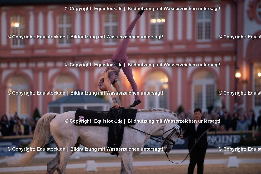 20230527_Voltigieren_NASPA_Flutlicht_0367 | equistock