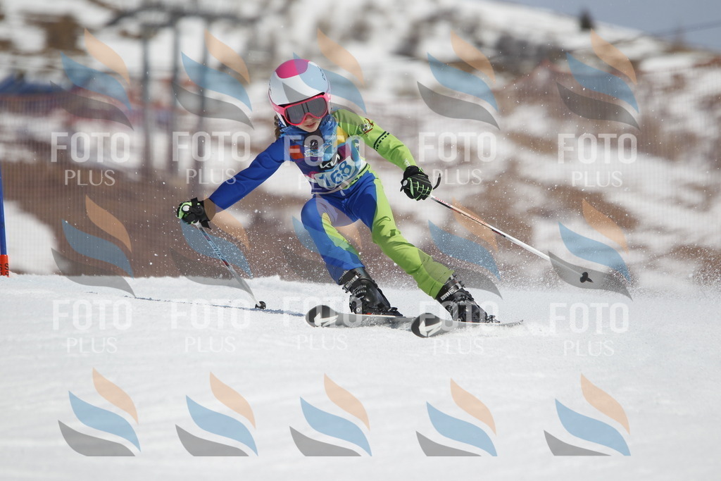 _U3G1504 | holidayphoto