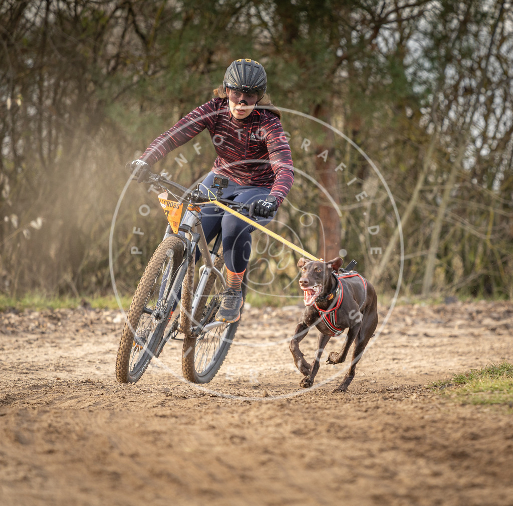 Pfotenfotografie_DV3A7985 | Hundefotografie, Tierfotograf, Pfotenfotografie, Fotoshooting Hund, Hunde Portrait, Hundesport, Hundeportraits, Heideshooting, Hunde, Sportfotograf, Hundefotograf, Turnierhundsport, THS,  - Realisiert mit Pictrs.com