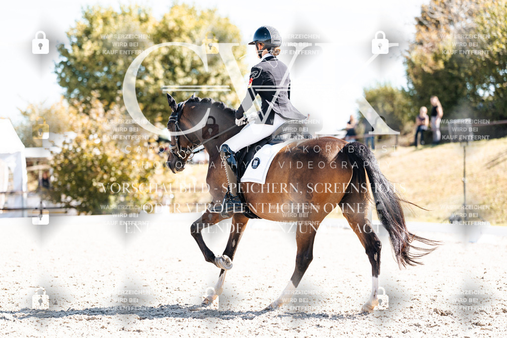 CK909656 | Turnierfotografie Pferdefotografie Trier Rheinland-Pfalz Pferdesport Reitsport Tierfotografie Sportfotografie Pferdevideo Pferdevideografie Equestrianvideography equestrianphotography  - Realisiert mit Pictrs.com