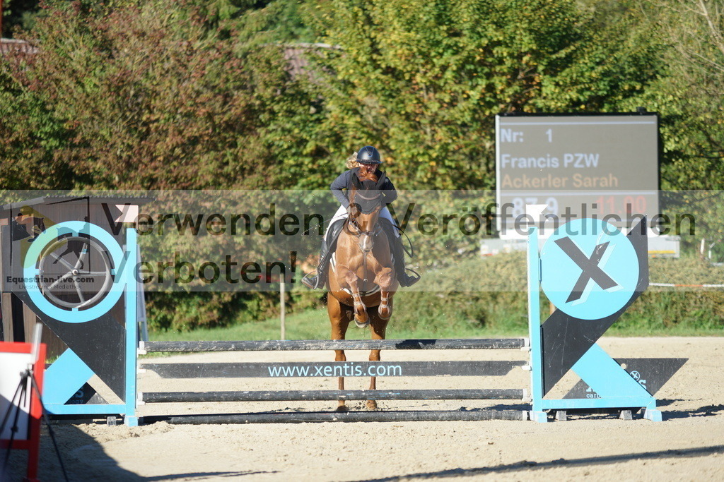 DSC08171 | equestrian-live-com