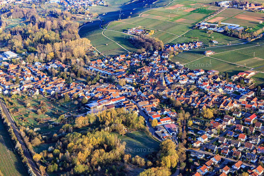 Luftbild: Ortkern mit Simultankirche St. Quintinus in Siebeldingen im Bundesland Rheinland-Pfalz in Deutschland. Foto: IMG_126262.jpg vom 04.04.2021 durch Werner Riehm/FLY-FOTO.de