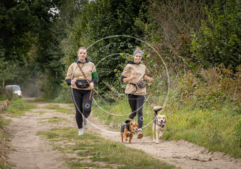 Pfotenfotografie_DV3A6041 | Hundefotografie, Tierfotograf, Pfotenfotografie, Fotoshooting Hund, Hunde Portrait, Hundesport, Hundeportraits, Heideshooting, Hunde, Sportfotograf, Hundefotograf, Turnierhundsport, THS,  - Realisiert mit Pictrs.com