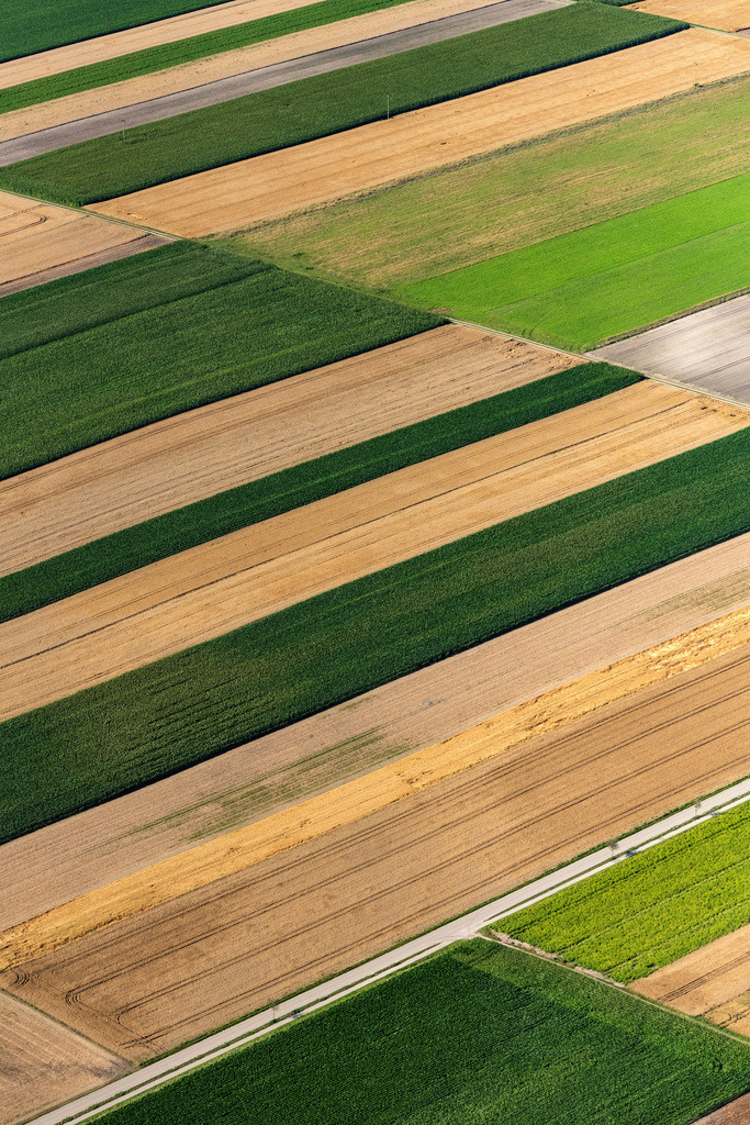 dr__0010886.jpg | EICHENRIED 13.07.2018 Streifen- und Reihen- Strukturen auf landwirtschaftlichen Feldern in Eichenried im Bundesland Bayern, Deutschland. // Structures on agricultural fields in Eichenried in the state Bavaria, Germany. Foto: Daniel Reiter