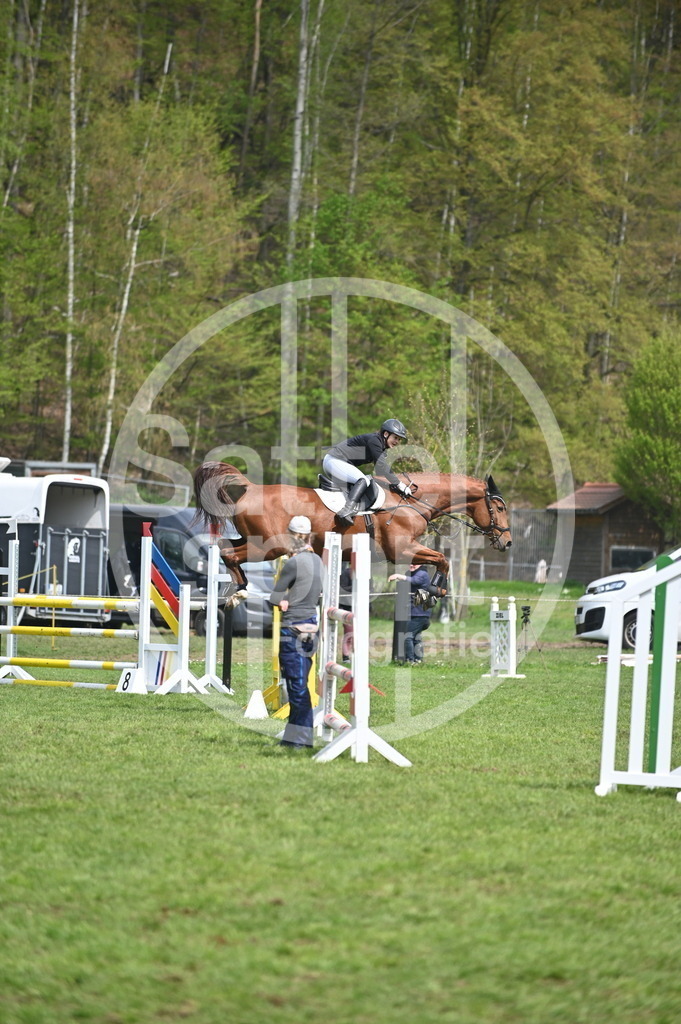 DSC_1817 | sattelsport - Realisiert mit Pictrs.com