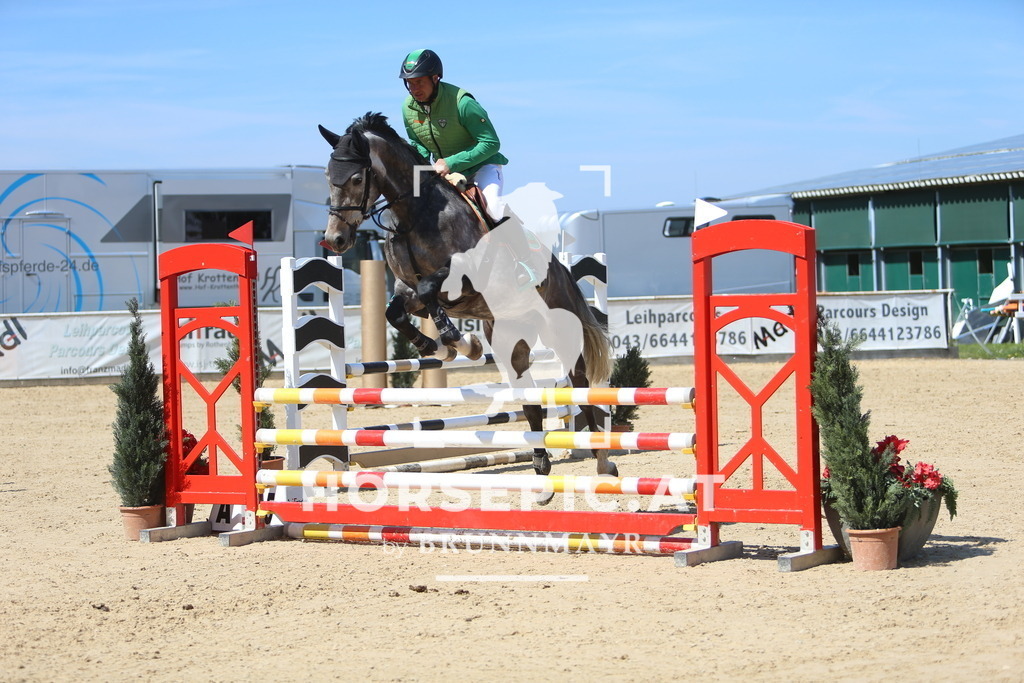 DL2Q9803 | Willkommen bei Brunnmayr - Design & Fotografie – Ihrem Spezialisten für Reitturniere und Pferdeveranstaltungen in Oberösterreich, Salzburg und Bayern! Seit über 17 Jahren sind wir leidenschaftlich dabei.