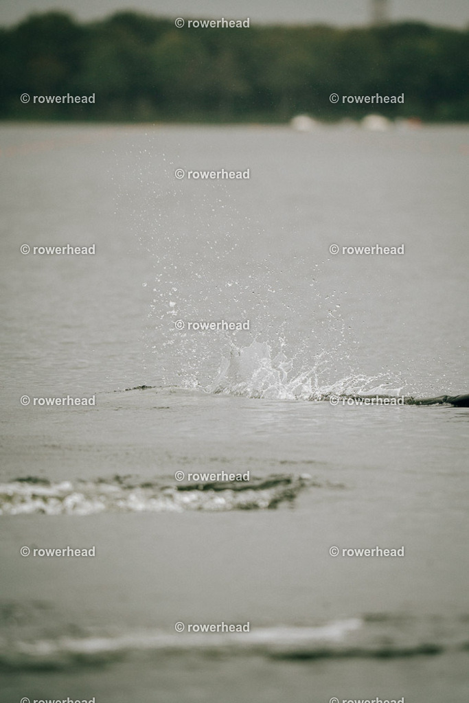 20251005_rowerhead_R021_S0045_DSC05803 | rowerhead - Realisiert mit Pictrs.com