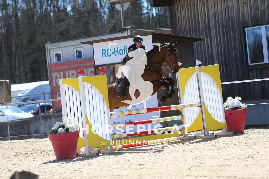 DL2Q5645 | Willkommen bei Brunnmayr - Design & Fotografie – Ihrem Spezialisten für Reitturniere und Pferdeveranstaltungen in Oberösterreich, Salzburg und Bayern! Seit über 17 Jahren sind wir leidenschaftlich dabei.
