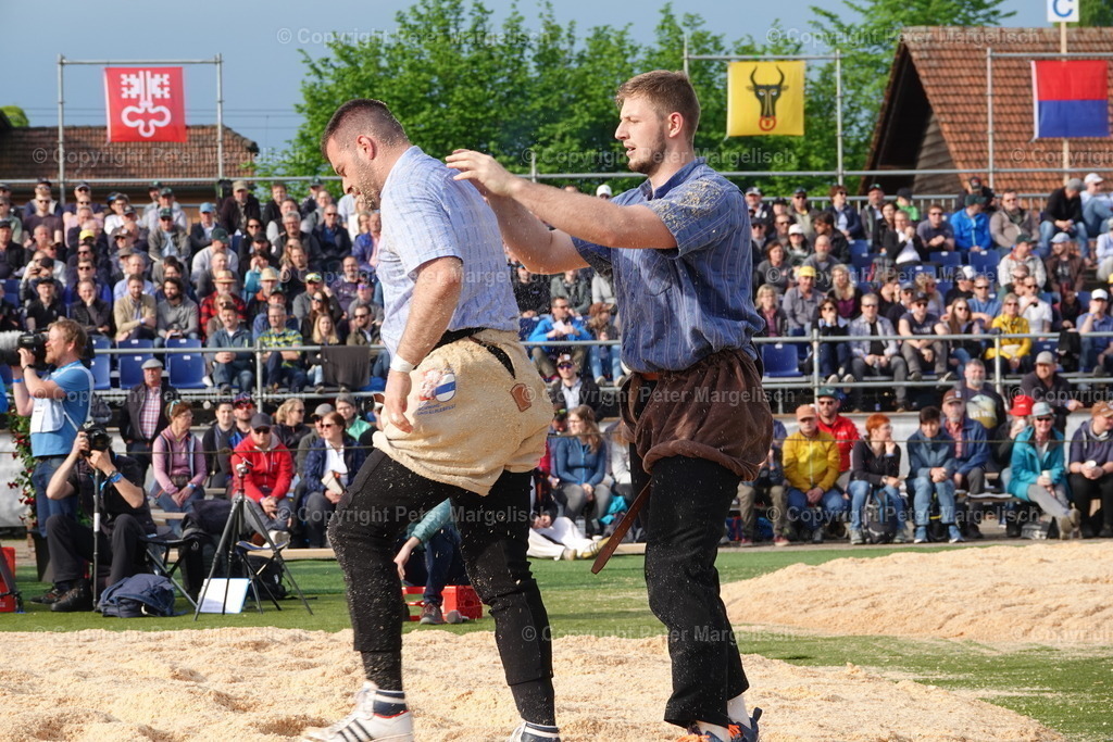 DSC03590 | Schwingen - Realisiert mit Pictrs.com