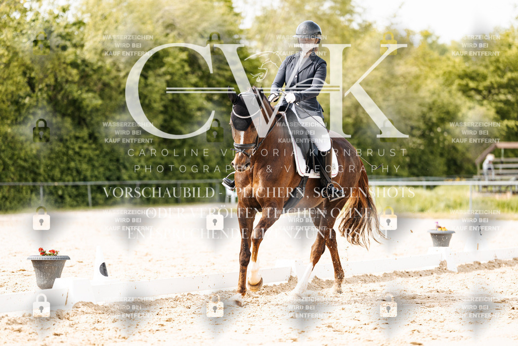 CK901337 | Turnierfotografie Pferdefotografie Trier Rheinland-Pfalz Pferdesport Reitsport Tierfotografie Sportfotografie Pferdevideo Pferdevideografie Equestrianvideography equestrianphotography  - Realisiert mit Pictrs.com