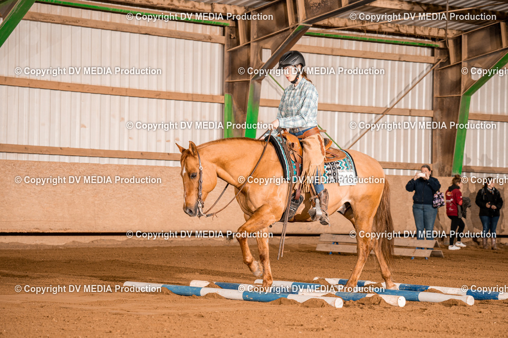 BA400229 | dv-media-shop - Realisiert mit Pictrs.com