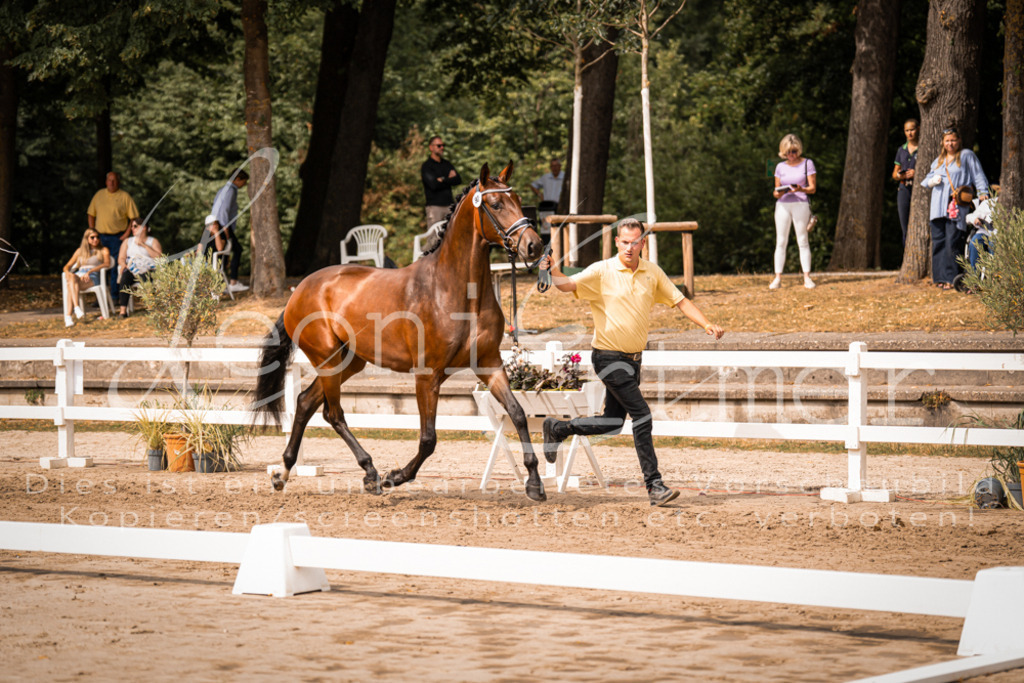 6.Fr00040 | Leoni Ertmer Photography - Realisiert mit Pictrs.com