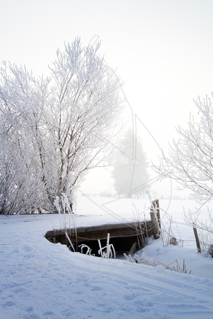 Lungauer Winterspaziergang | Ihre Fotografin im Lungau, ihre Fotografin im Mostviertel, Wandbilder Onlineshop, Imagefotos für Ihr Unternehmen,  - Realisiert mit Pictrs.com