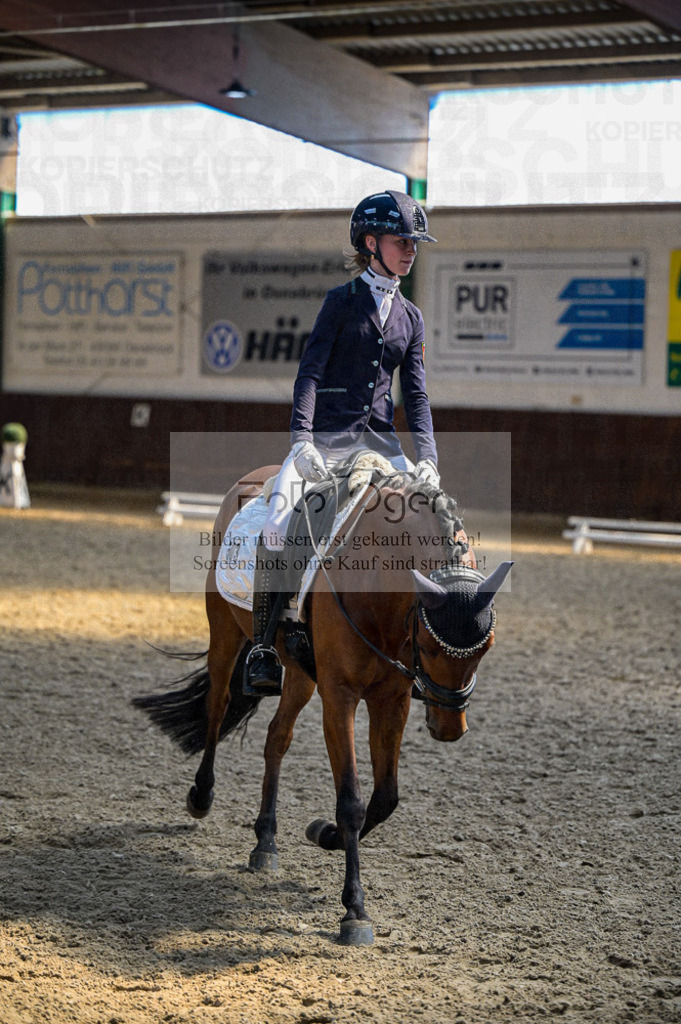 Reitturnier Voxtrup | Entdecke hochwertige Reitturnierfotos von Foto Oger. Professionell, emotional und authentisch – jetzt Lieblingsmomente im Shop bestellen.Deutschlandweite Turnierfotografie. - Realisiert mit Pictrs.com