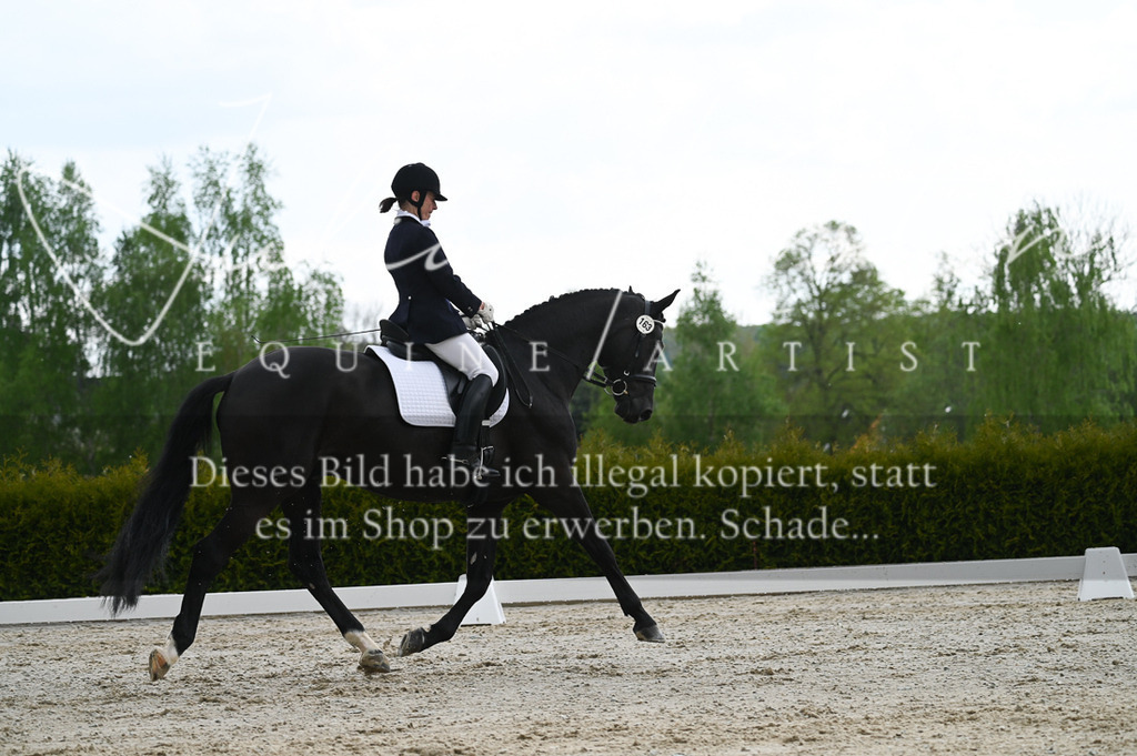 20230512_JK-Röhrsdorf-03-060 | Pferde- und Turnierfotografie in Westsachsen. Pferdeportraits, Auftragszeichnungen und intuitive Kunst.