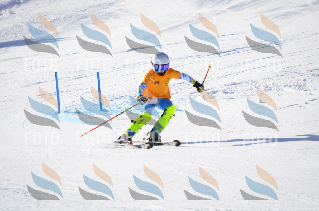 C6165 | holidayphoto