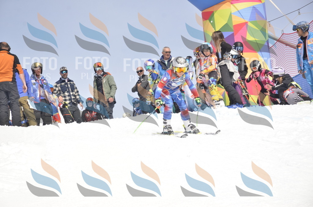 _ELE8872 | holidayphoto