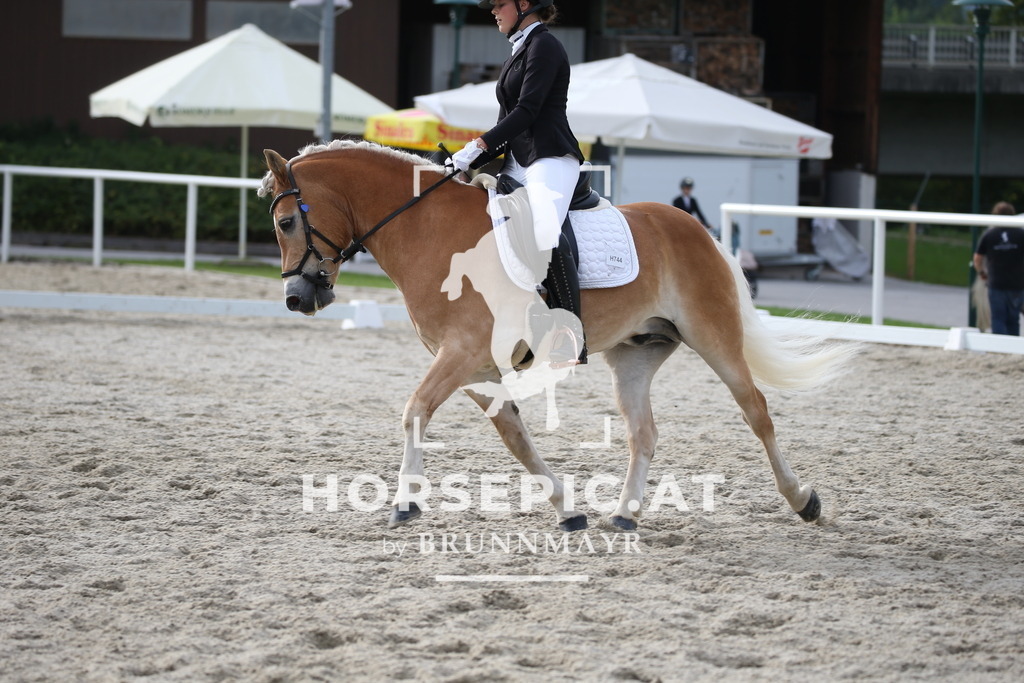 DL2Q5079 | Willkommen bei Brunnmayr - Design & Fotografie – Ihrem Spezialisten für Reitturniere und Pferdeveranstaltungen in Oberösterreich, Salzburg und Bayern! Seit über 17 Jahren sind wir leidenschaftlich dabei.