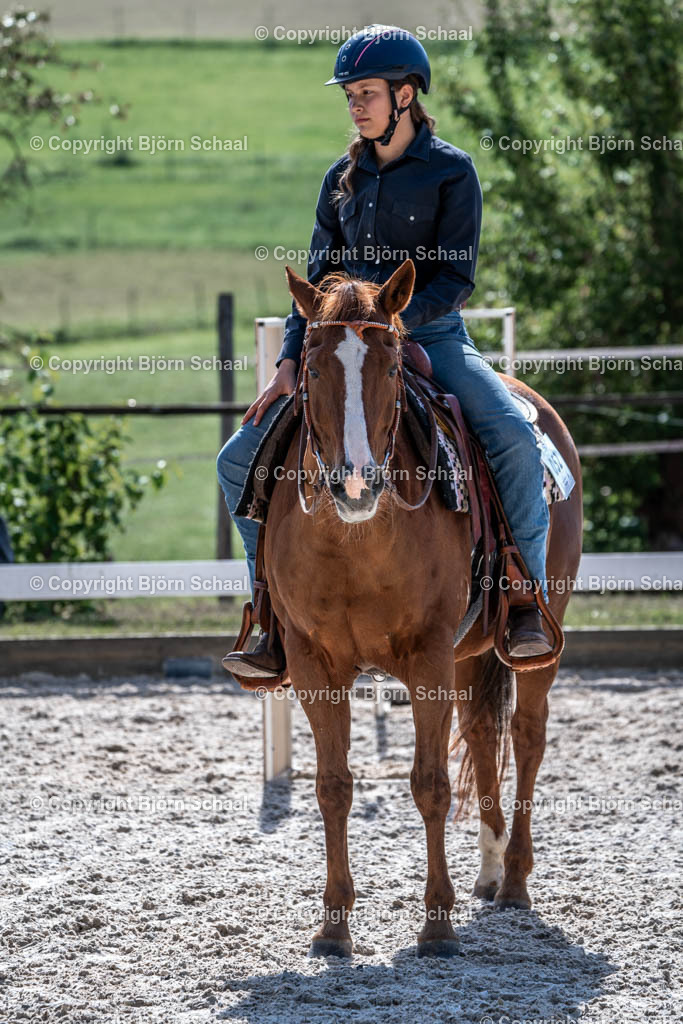 HOB00734 | BS-foto