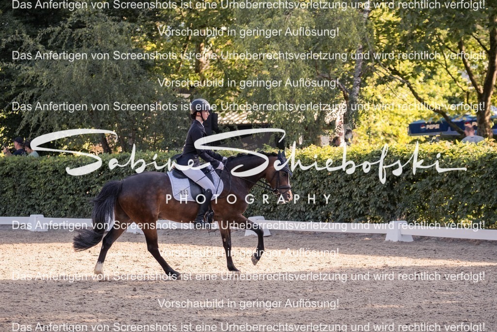 2025_05_31_DSCF2740 | People- und Tierfotografie, Imageaufnahmen, Veranstaltungsfotografie und Wandbilder aus der Natur ★ Made in Germany ✔️ Druck + Downloads ✔️ Naturfotografie in Top Qualität ★ schneller Versand, weltweite Lieferung! - Realisiert mit Pictrs.com