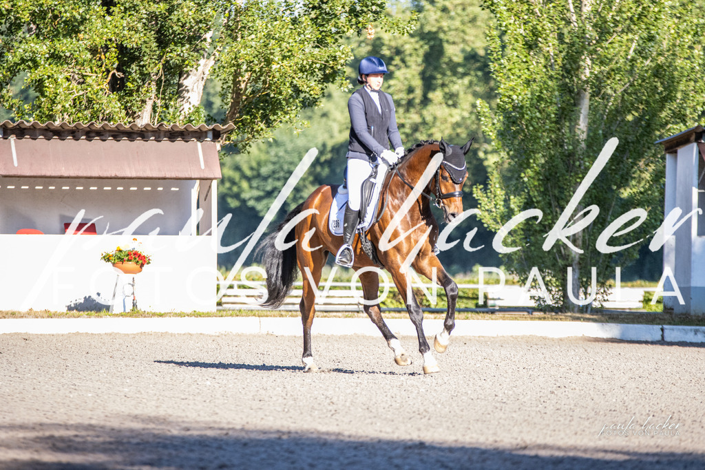 IMG_7836 | Erleben Sie dynamische Sport- und emotionale Tierfotografie in Süddeutschland mit Fotos von Paula. Spezialisiert auf Pferde- und Hundefotografie sowie Sportevents. Kontaktieren Sie mich für einzigartige und ausdrucksstarke Bilder Ihrer besonderen Momente. - Realisiert mit Pictrs.com