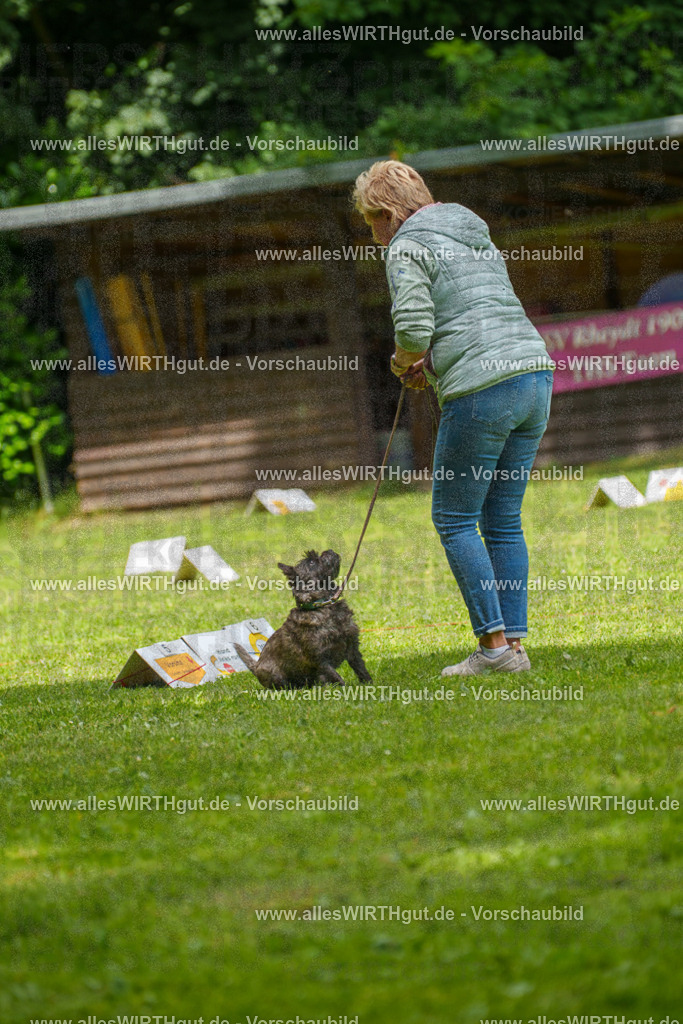 @allesWIRTHgut_Tierfotografie - www.allesWIRTHgut.de - 7R504437 | Professionelle Tierfotografie in Mönchengladbach von Daniel Wirth (allesWIRTHgut). Liebevolle & natürliche Bilder von Hunden & Katzen für unvergessliche Erinnerungen.