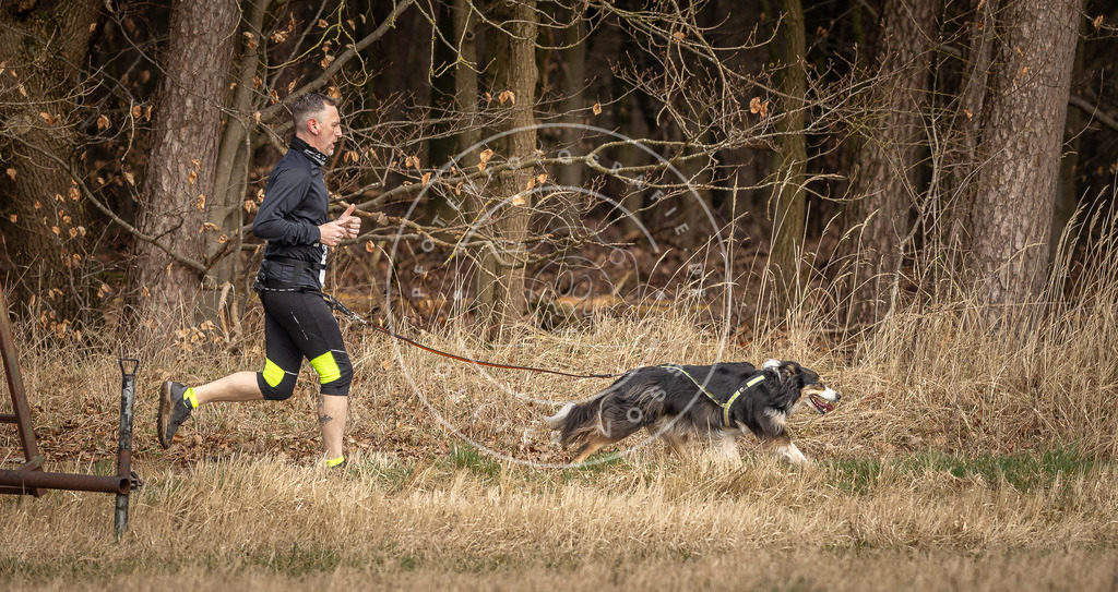 DV3A4143 | Hundefotografie, Tierfotograf, Pfotenfotografie, Fotoshooting Hund, Hunde Portrait, Hundesport, Hundeportraits, Heideshooting, Hunde, Sportfotograf, Hundefotograf, Turnierhundsport, THS,  - Realisiert mit Pictrs.com
