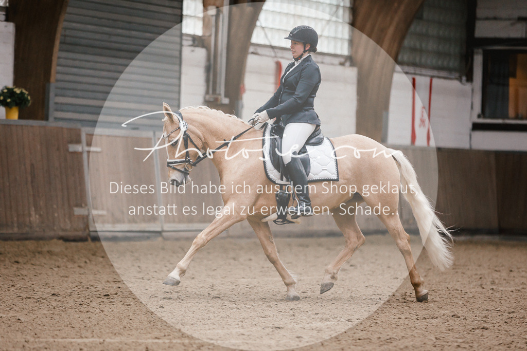 3I6A6220 | Stimmungsvolle Portraits und Reitsportfotografie im Ruhrgebiet und im Münsterland.

Pferdefotografie, Hundefotografie, Tierfotografie, Reportagen, Portraits von Tier und Mensch, Turnierfotografie in Bochum, Recklinghausen, Marl, Haltern am See, Dülmen.. - Realisiert mit Pictrs.com