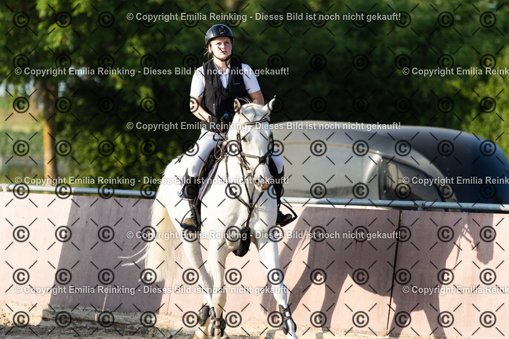 CL5A1569 | Emilia Reinking Fotografie - Realisiert mit Pictrs.com